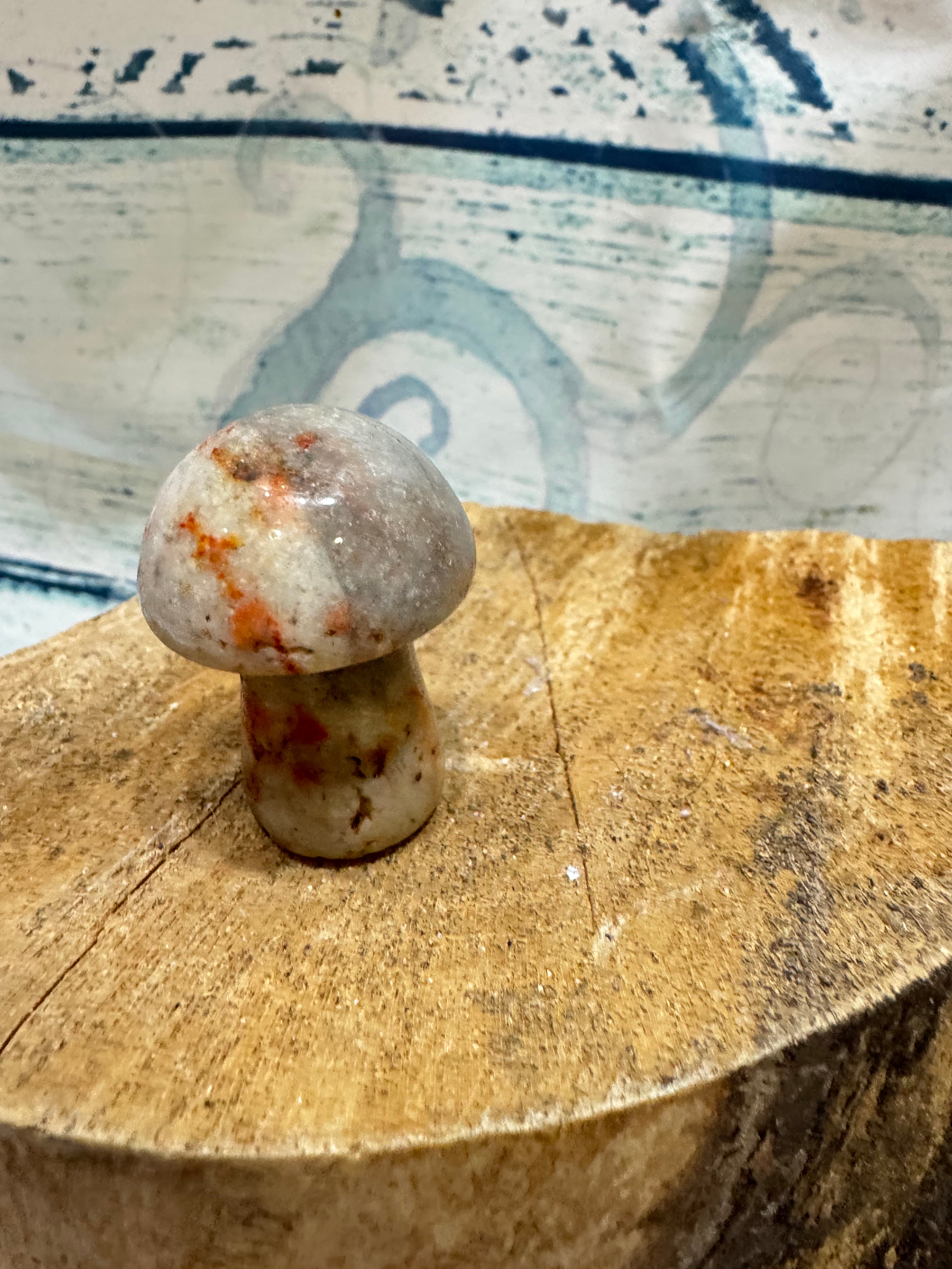 Harlequin quartz toadstool