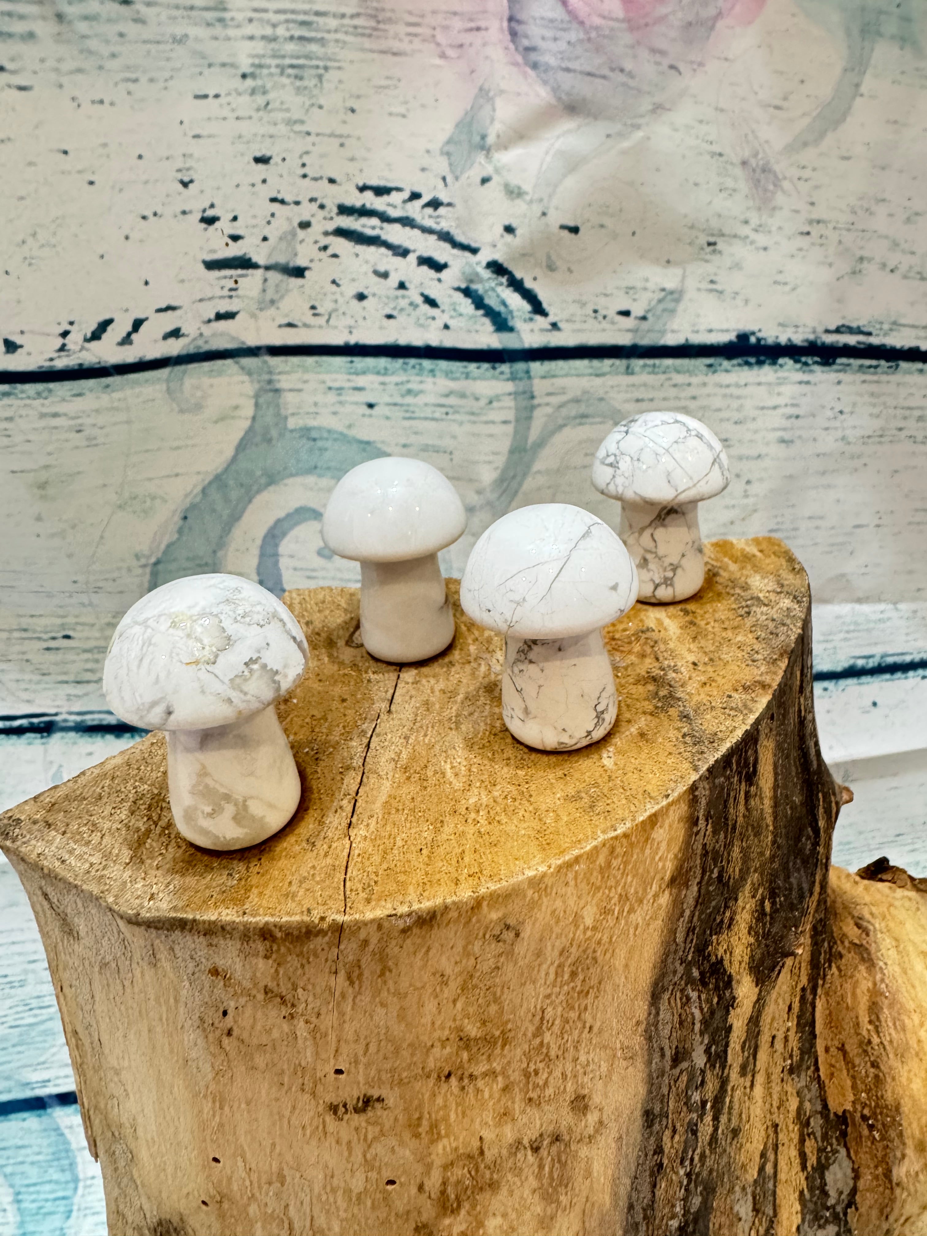 Howlite toadstool
