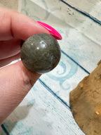 Kambala Jasper toadstool