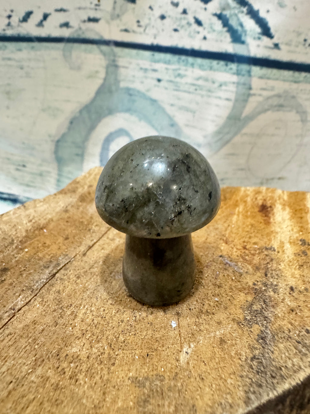 Kambala Jasper toadstool