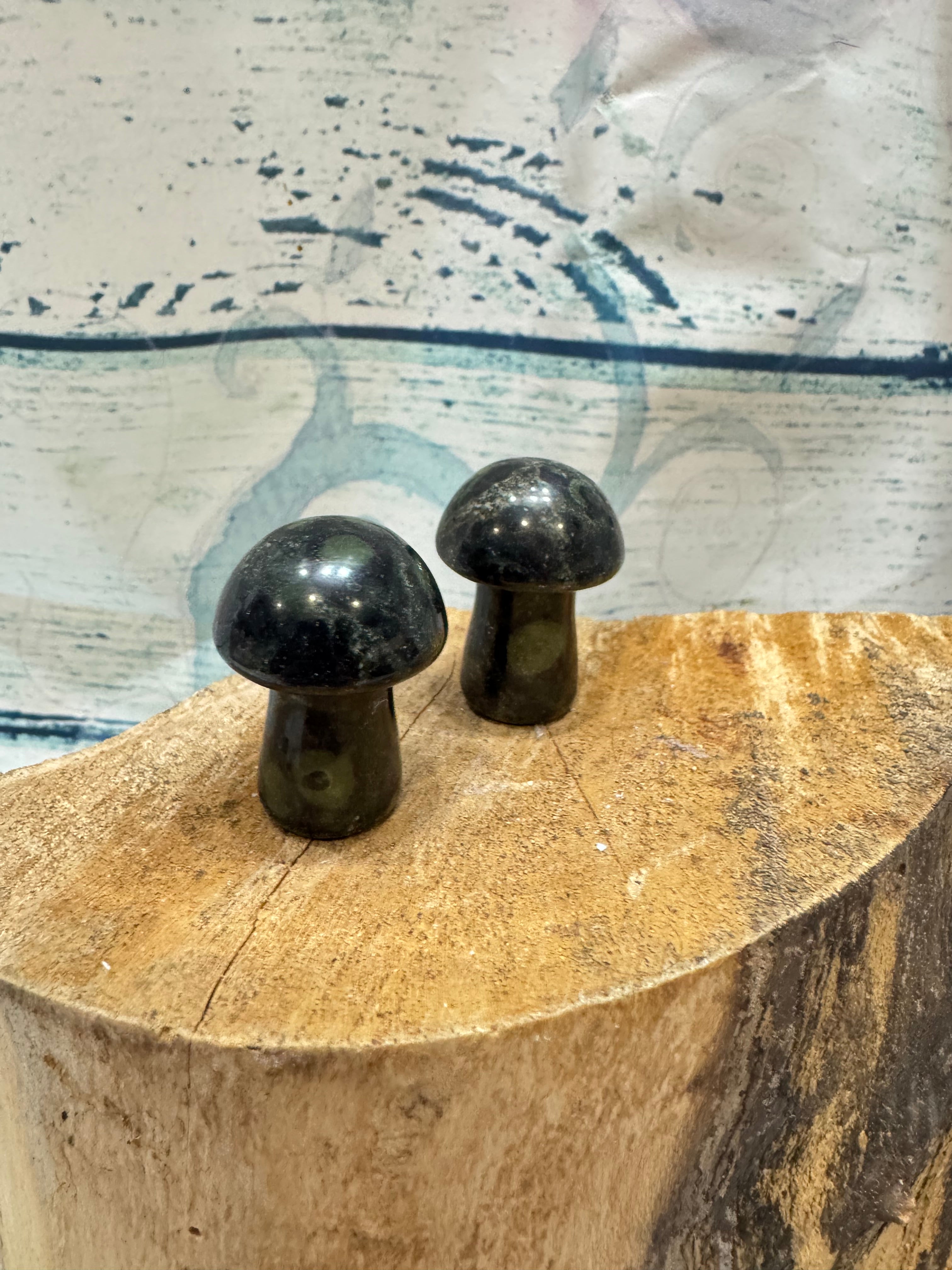 Kambala Jasper toadstool