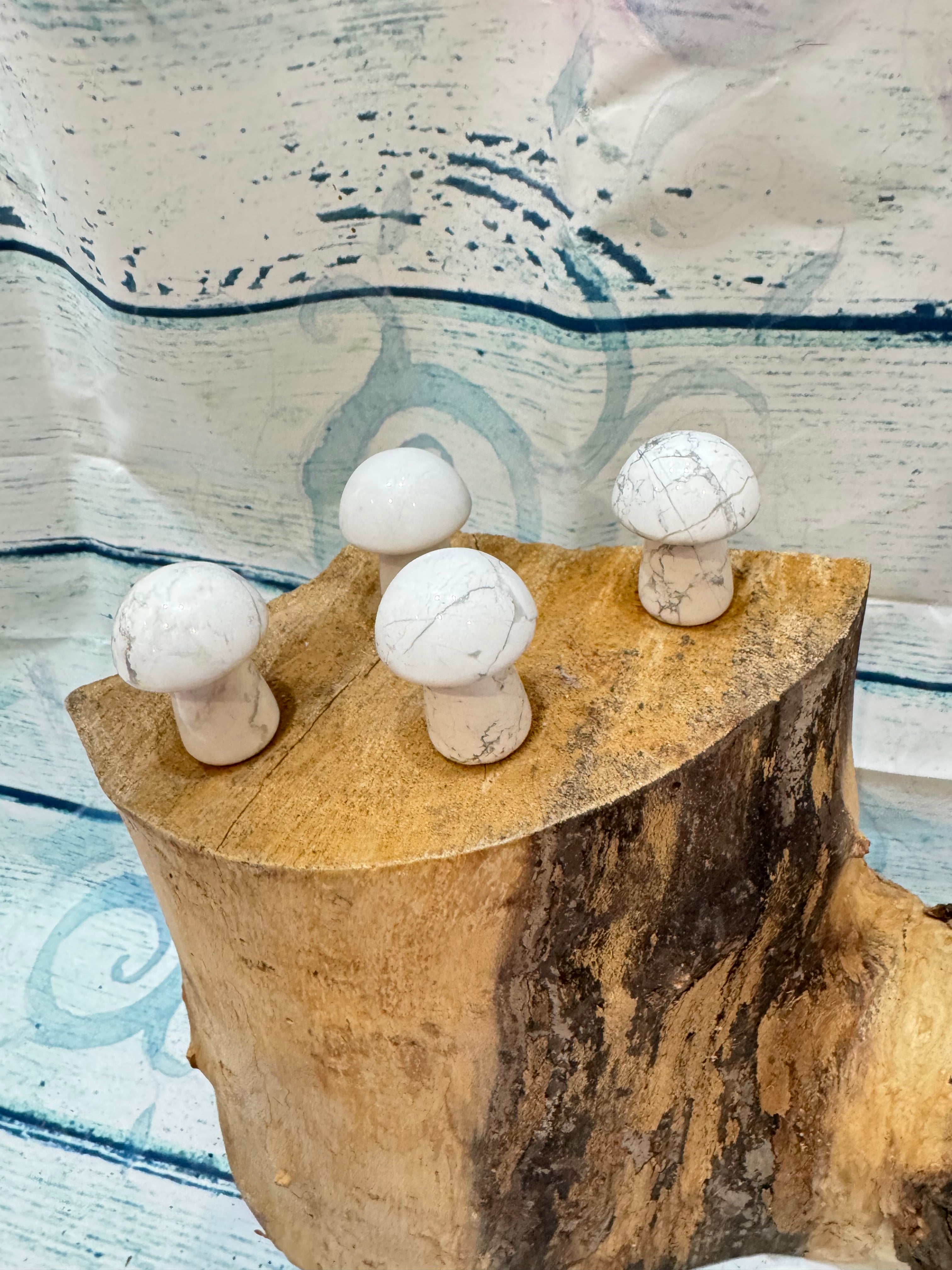 Howlite toadstool