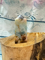 Caribbean calcite tower